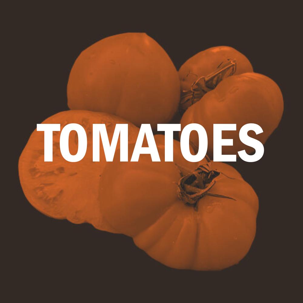 Tomatoes