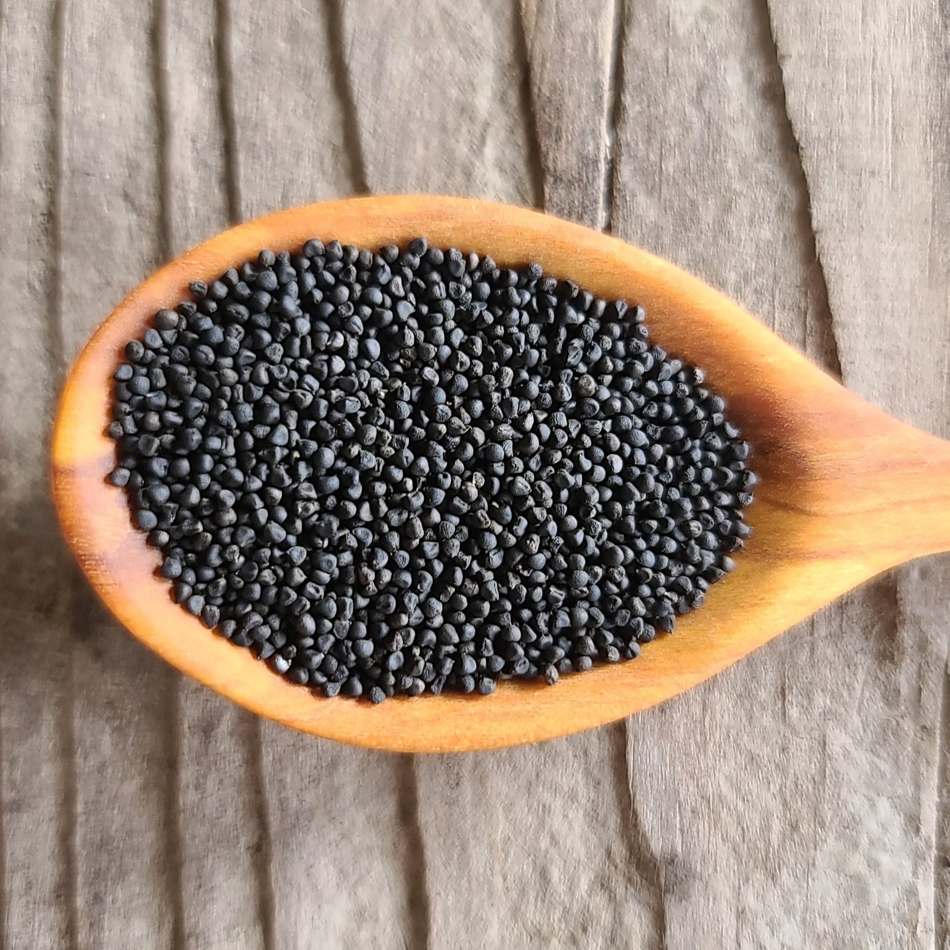 Blue-Eyed Grass Seeds
