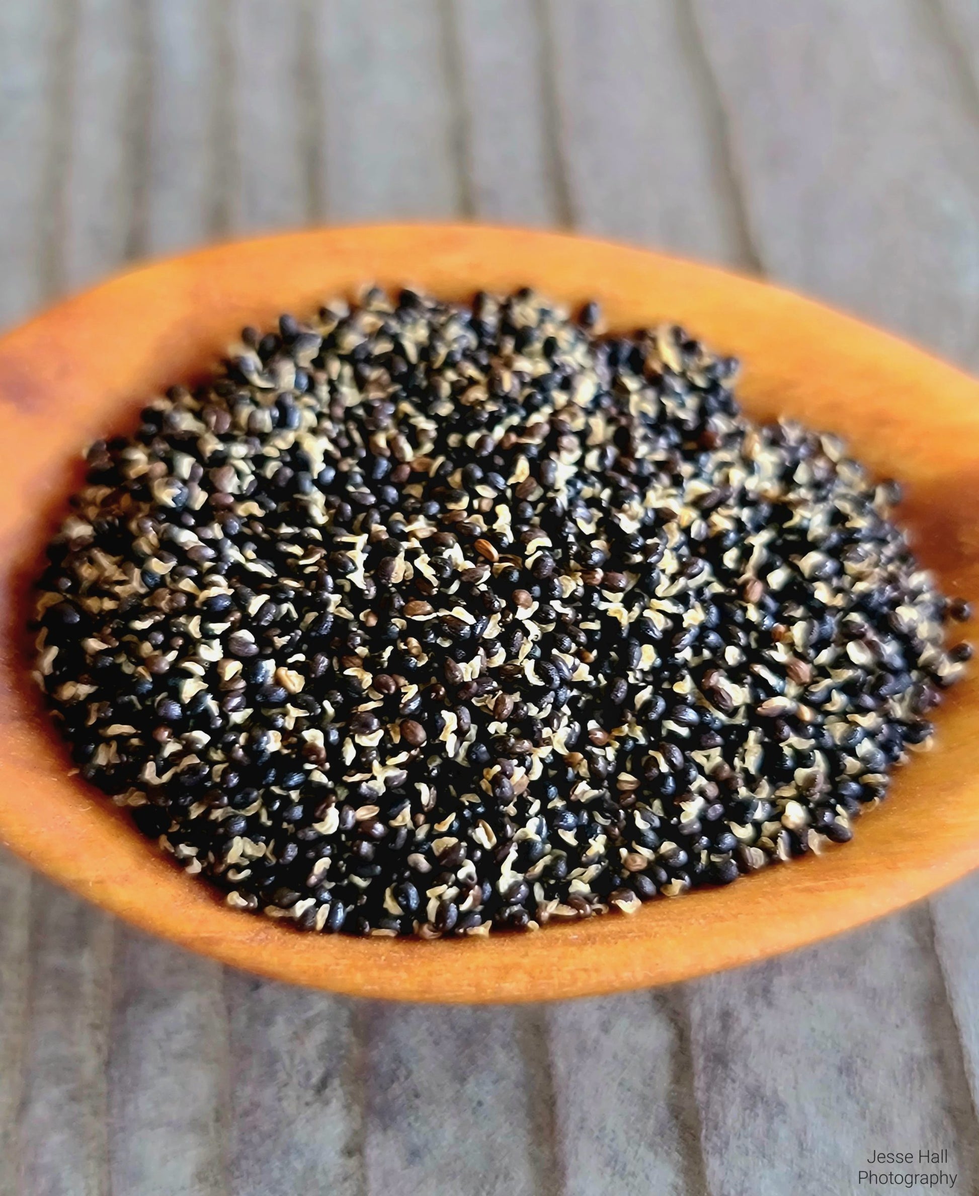 Celandine seeds
