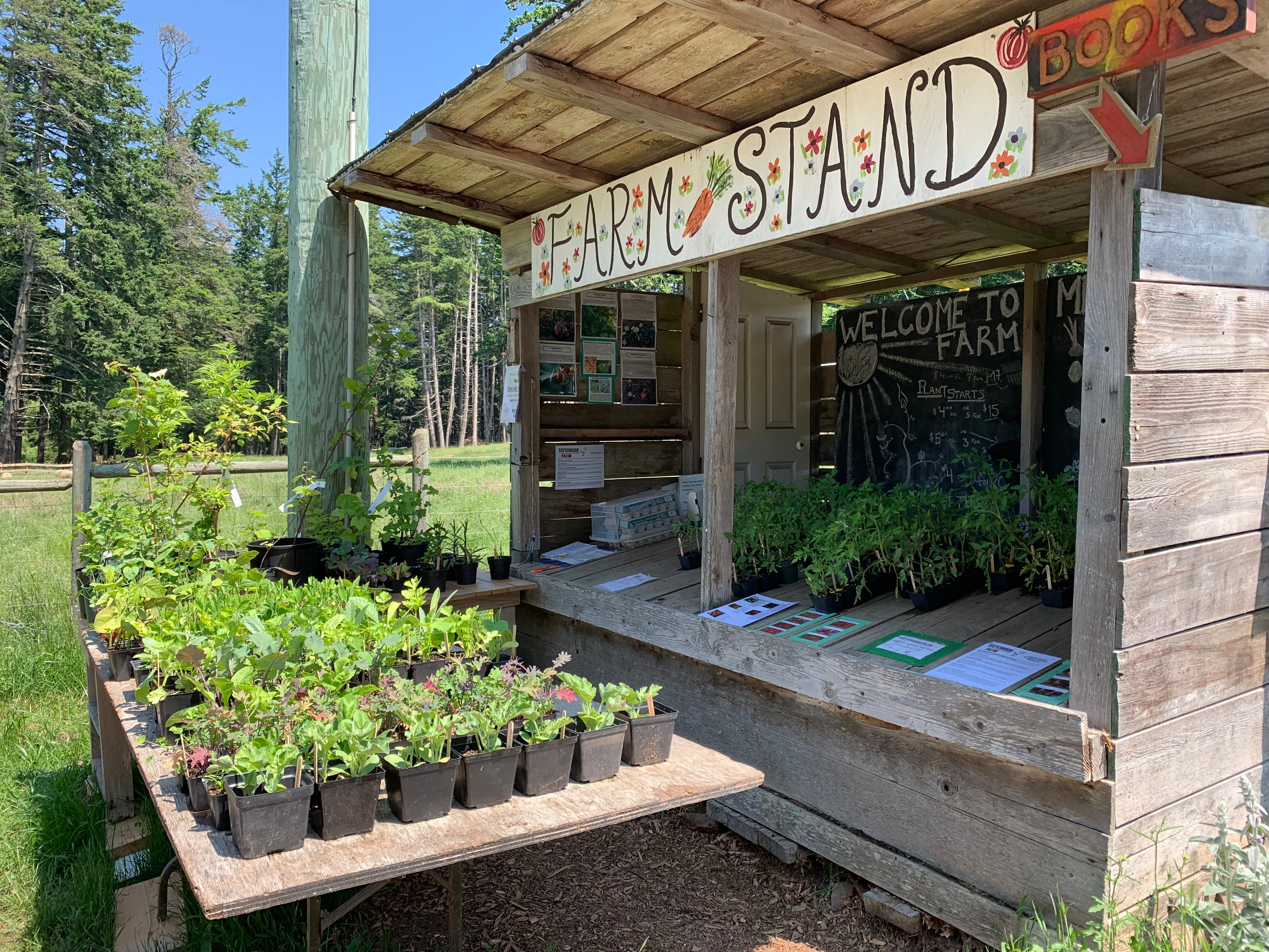 Metchosin Farm Farmstand. With a range of seedlings for sale