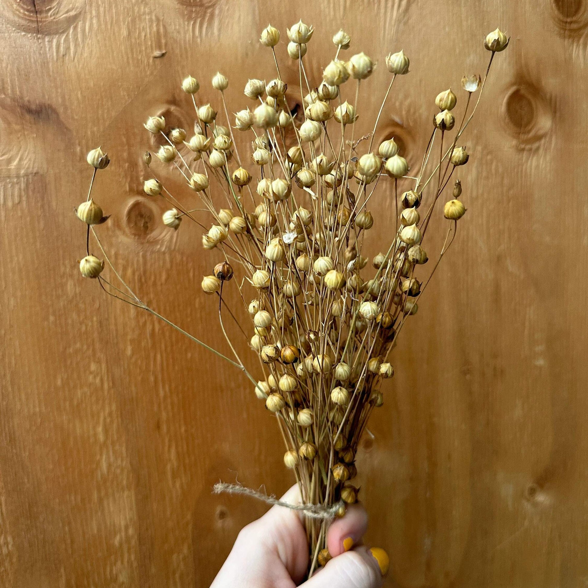 A Tasty Flax Spray