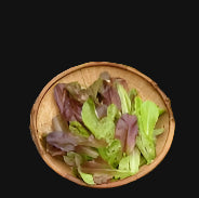 Mesclun Mix