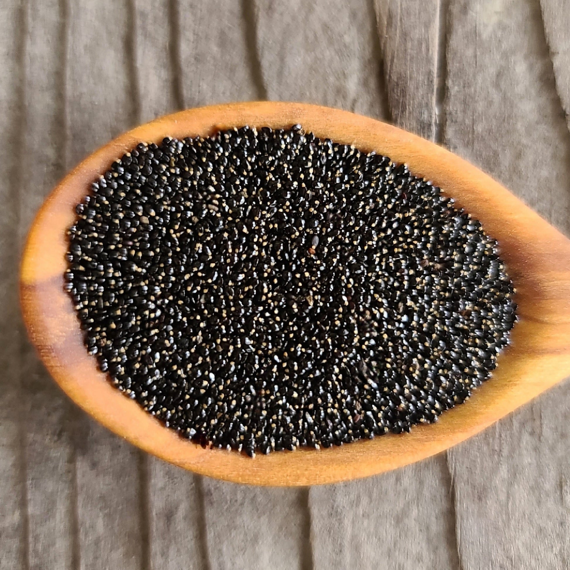 Miner's Lettuce seeds