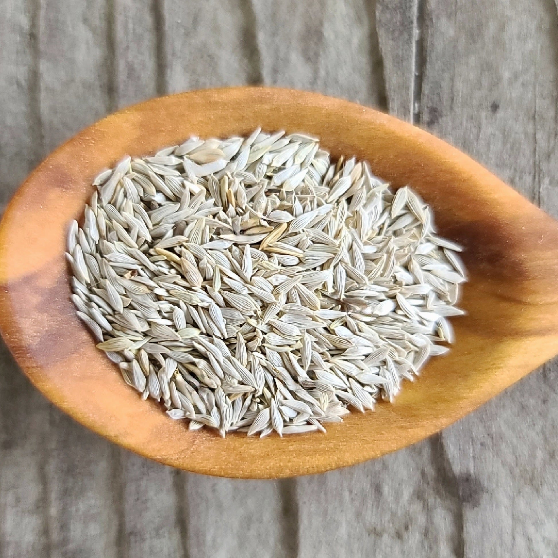 Mirlo Lettuce Seeds