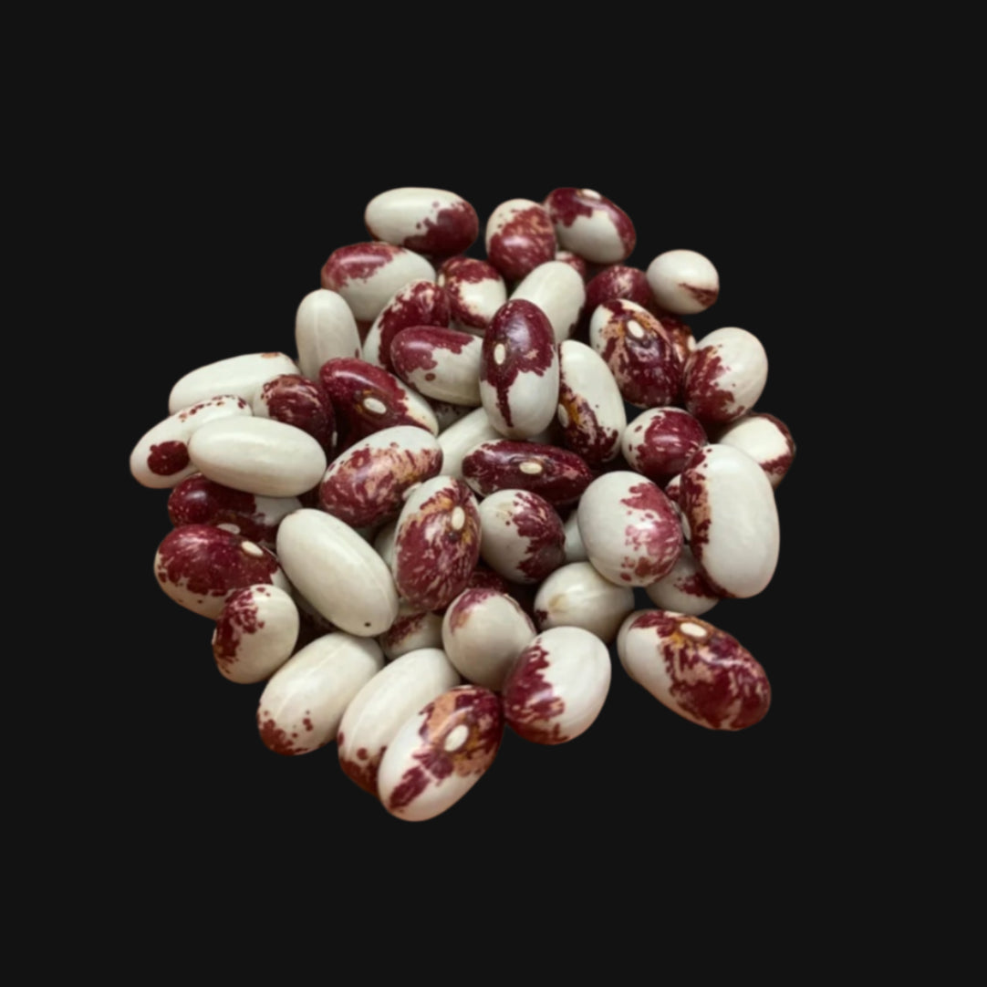 Rockwell Bush Bean