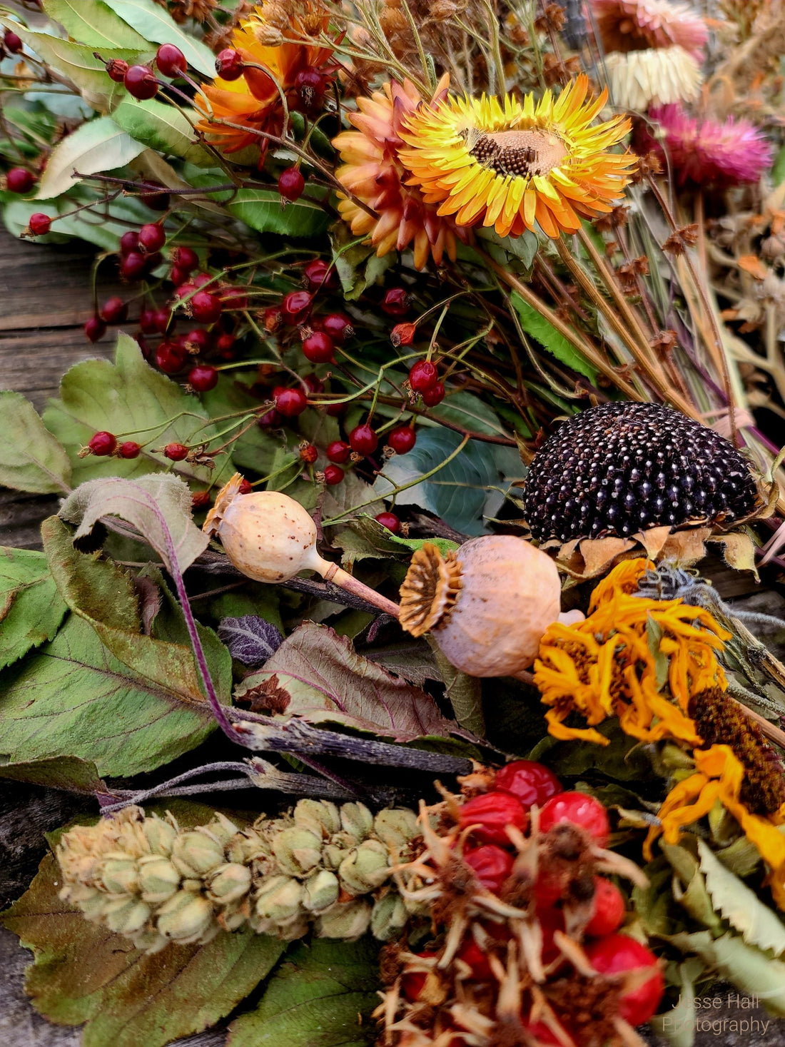 Seed producer takes a page from the craft beer movement