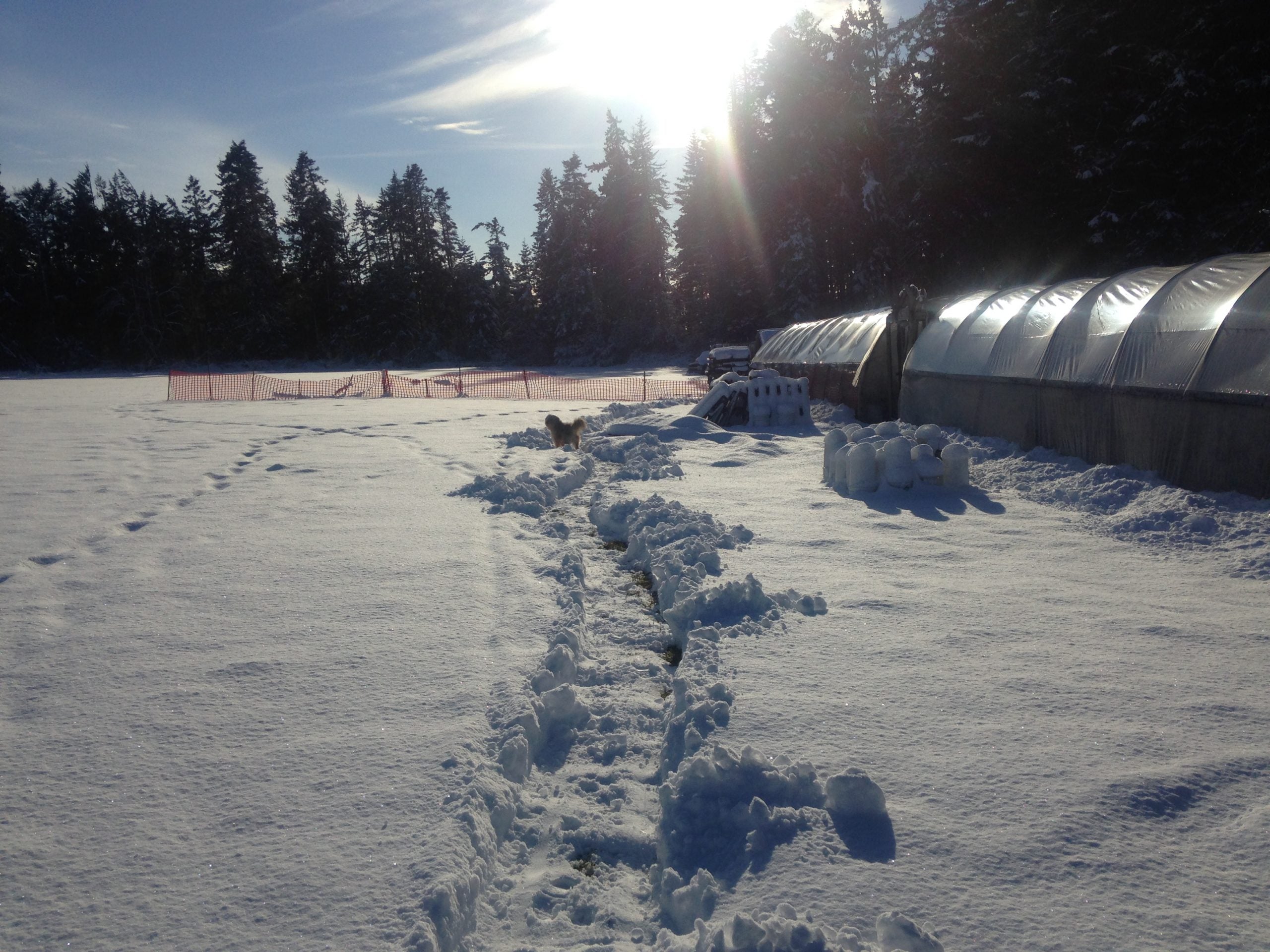 Christmas Time! (2025)