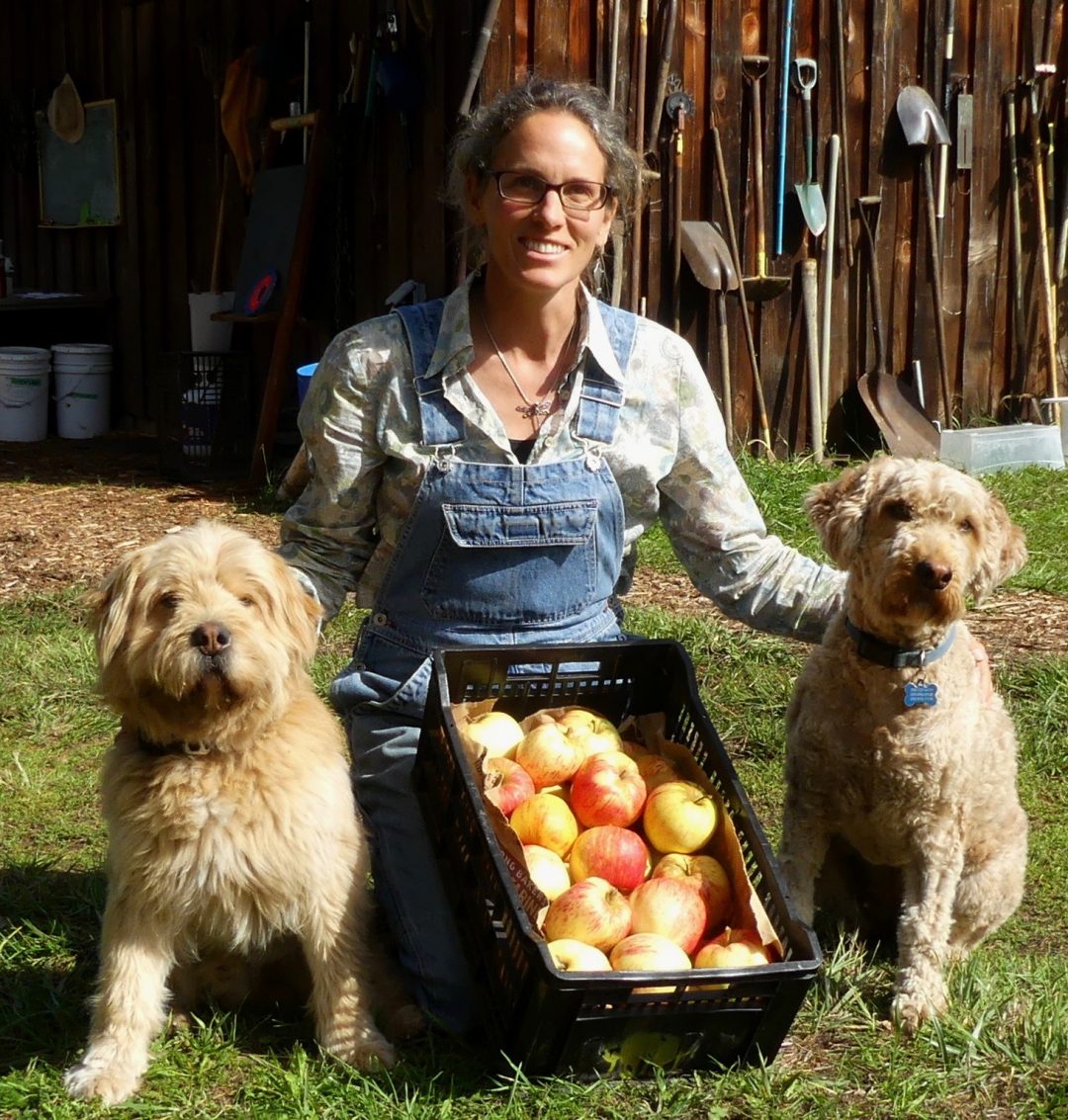 Shipping Adjustments due to Postal Strikes