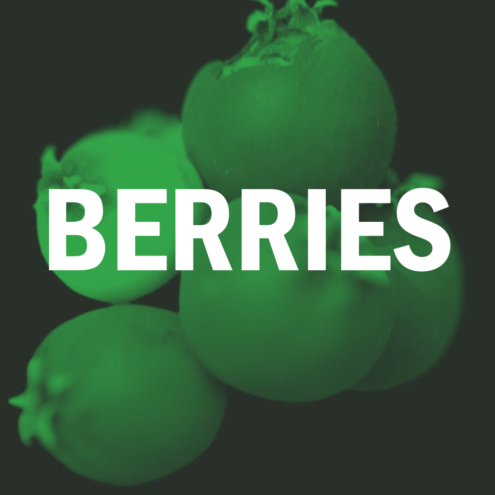 Berries