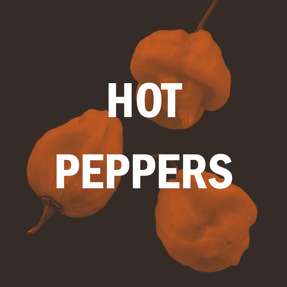 Hot Pepper