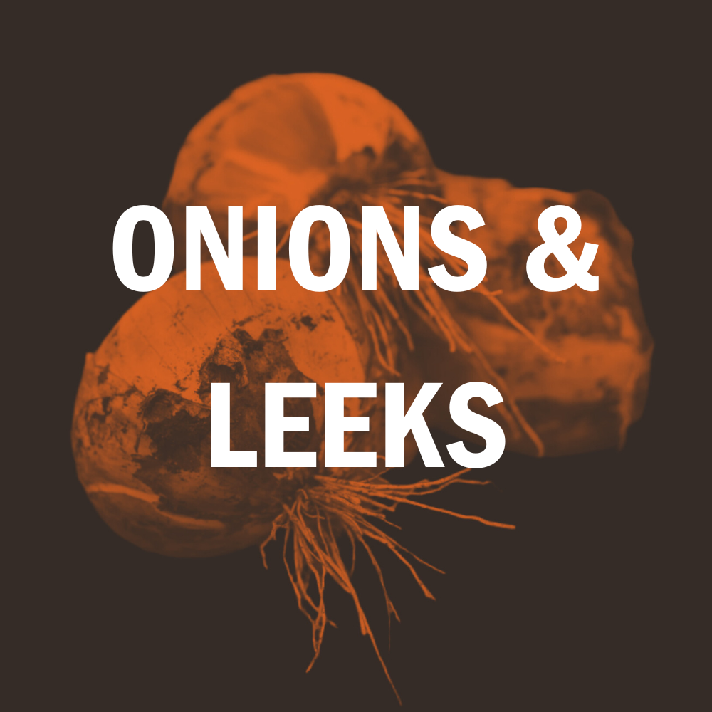 Onions & Leeks
