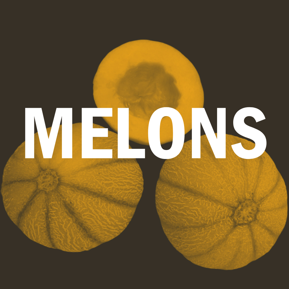 Melons