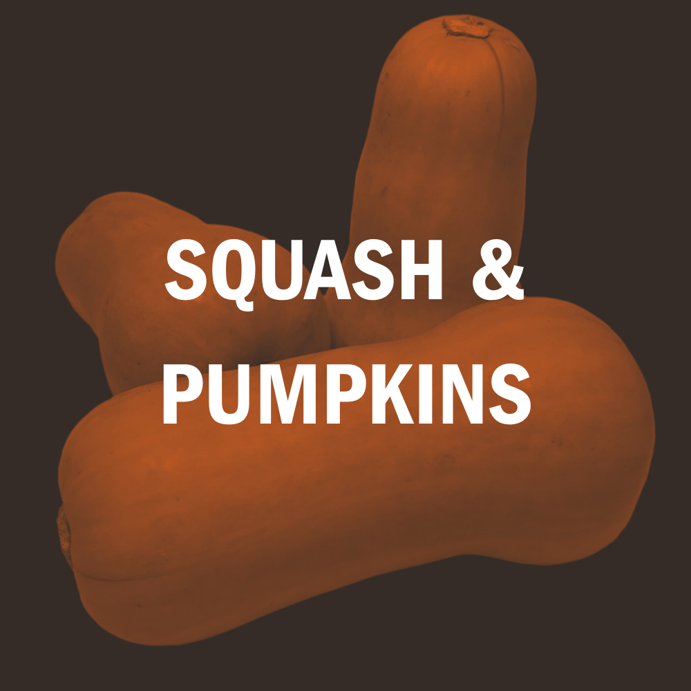 Squash & Pumpkins