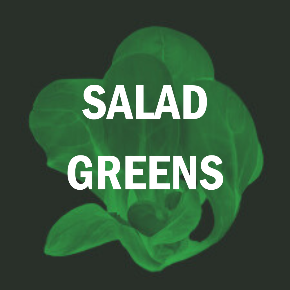 Salad Greens