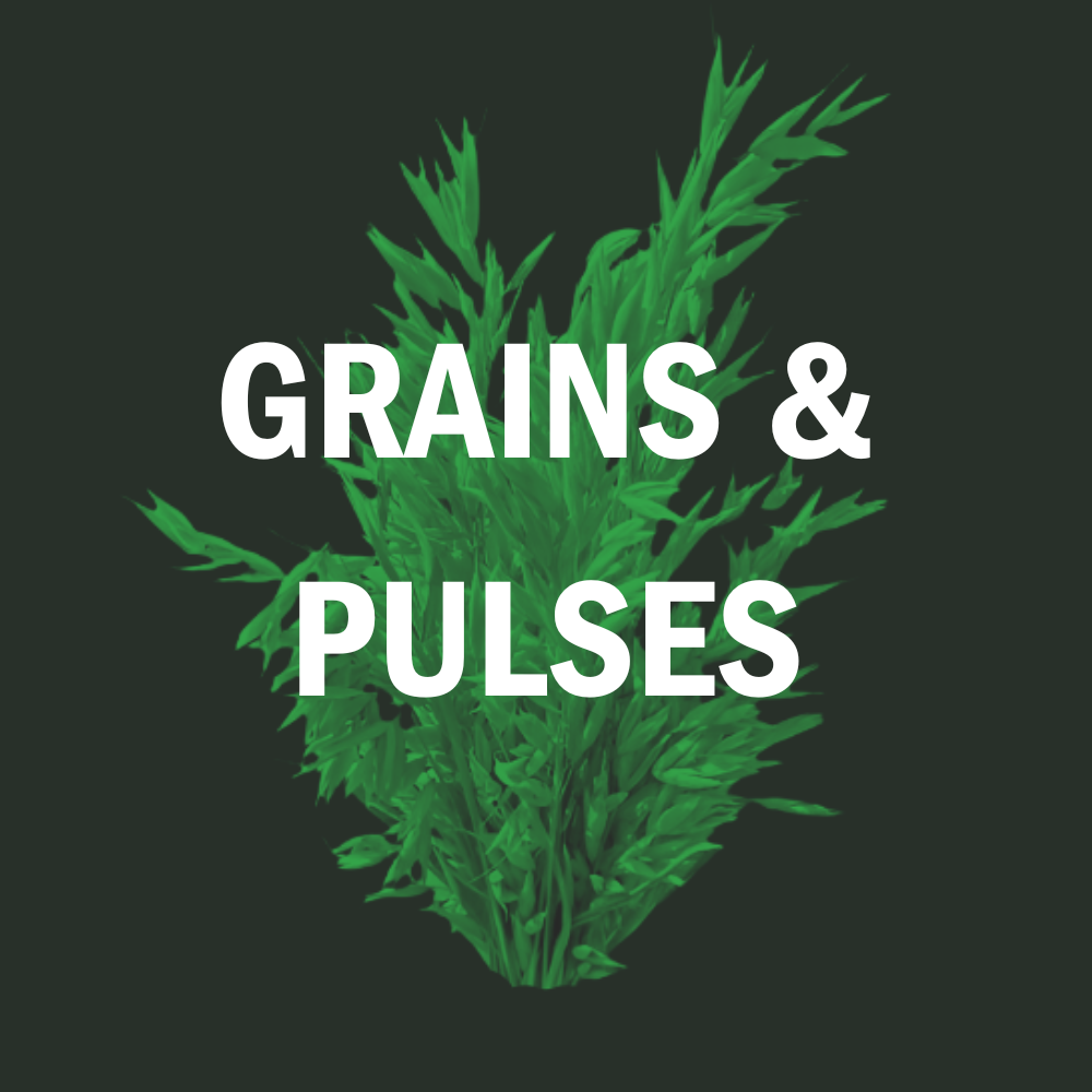 Grains & Pulses