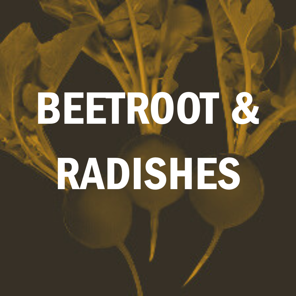 Beetroot & Radishes