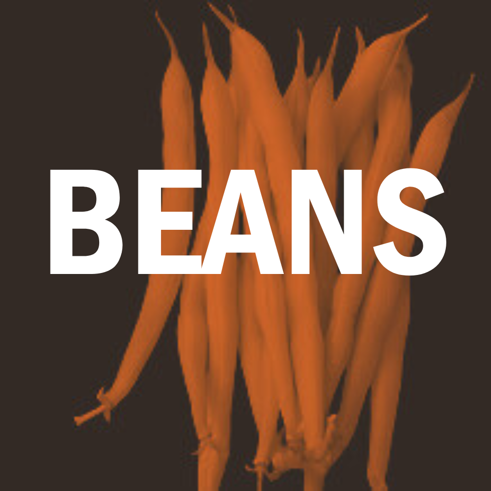 Beans