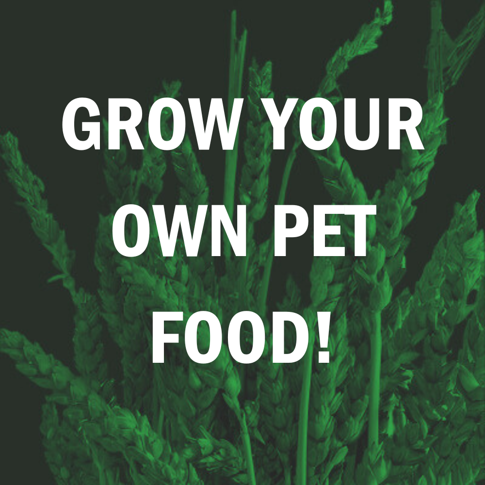Grow your own