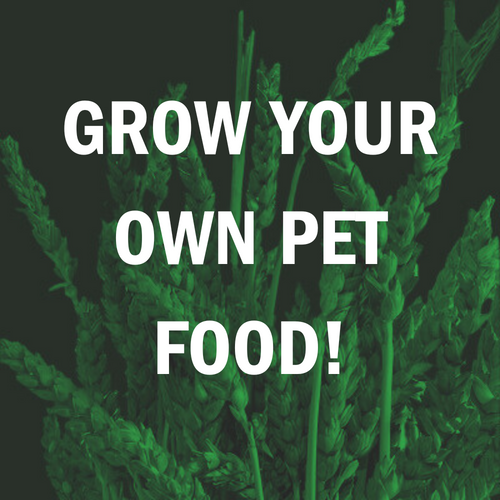 Grow your own