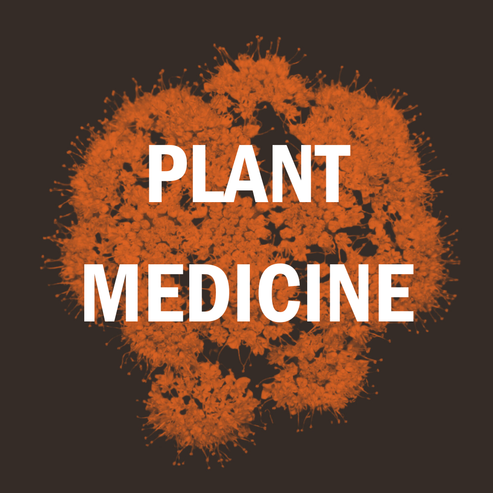 Plant Medicine