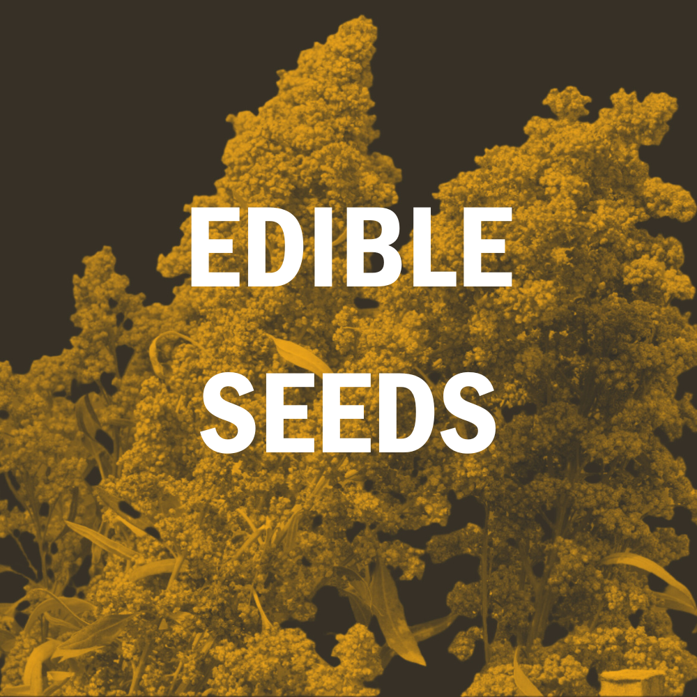 Edible Seeds