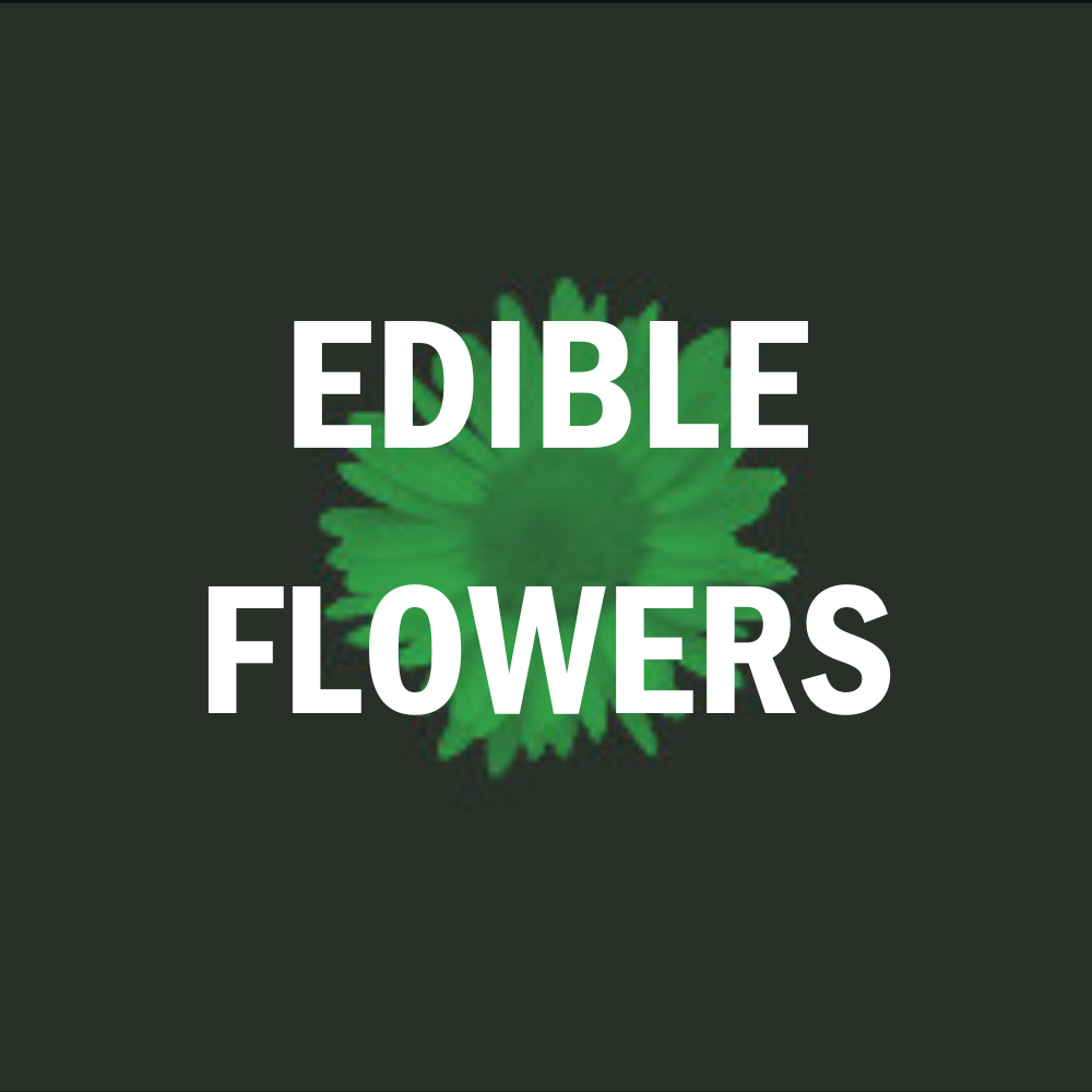 Edible Flowers