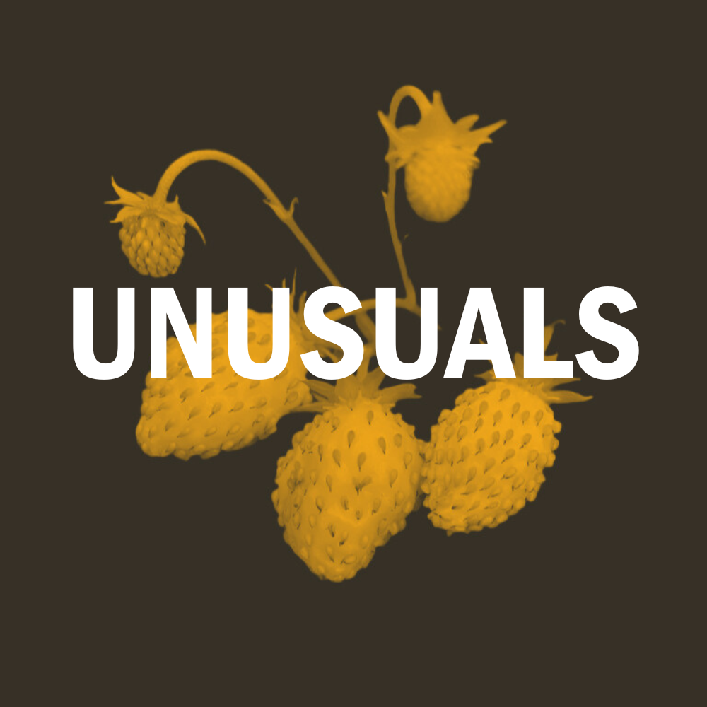 Unusual Plants