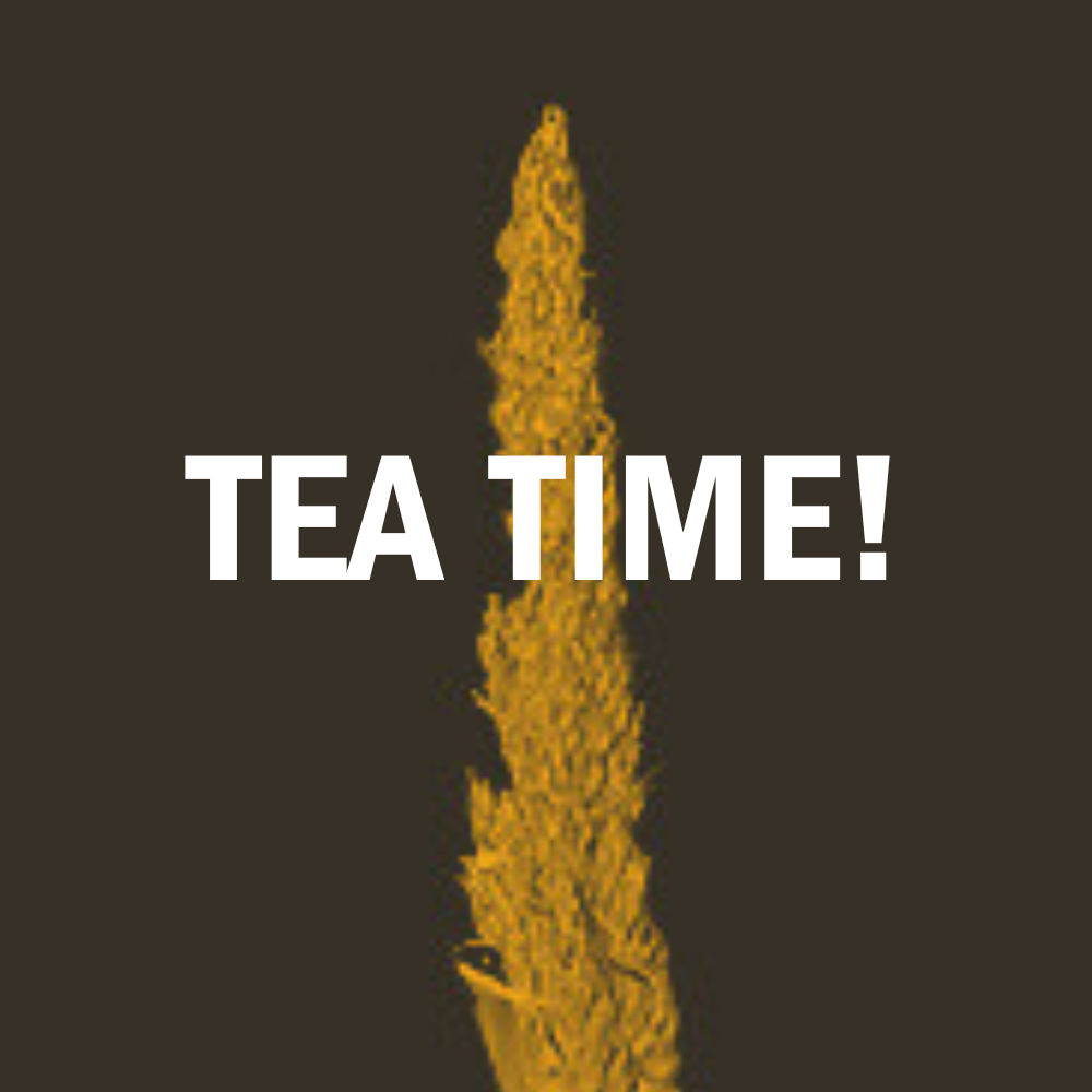 Tea Time!