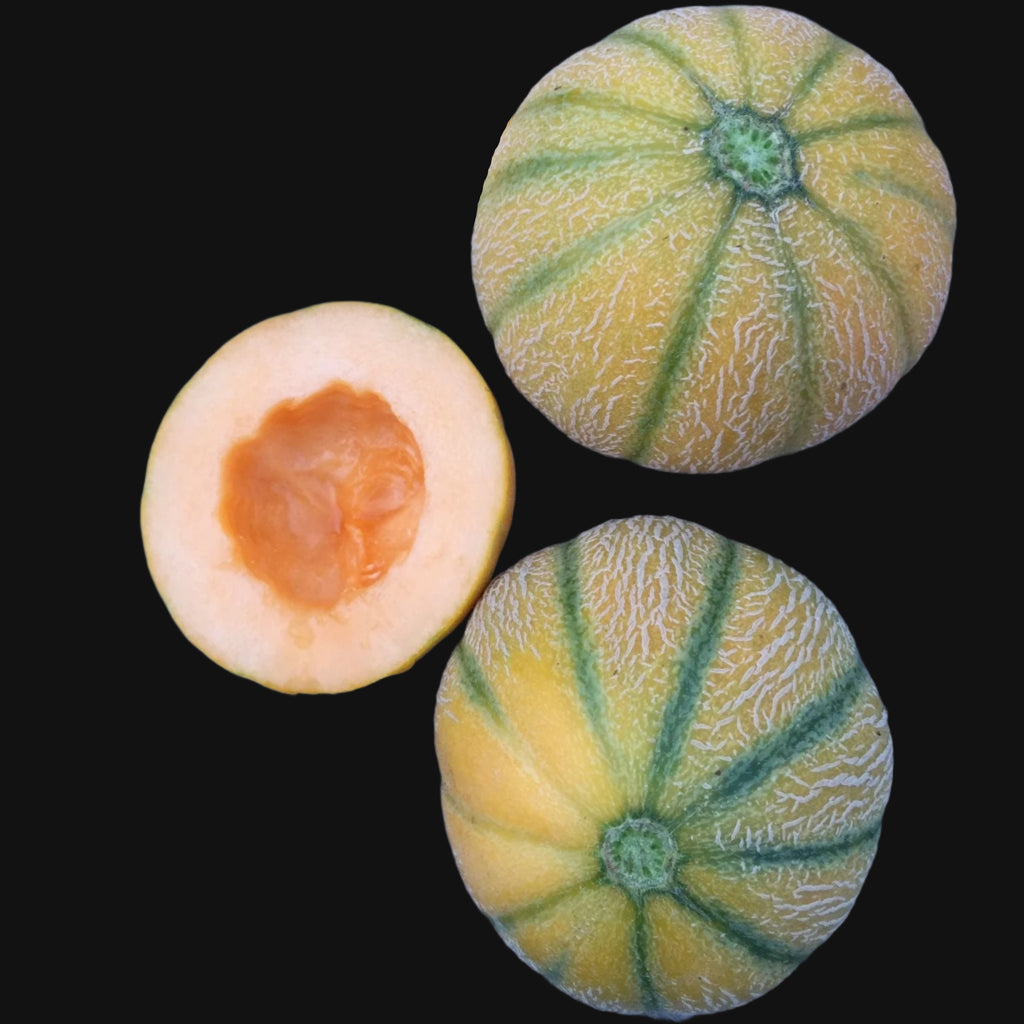 Melon Mix