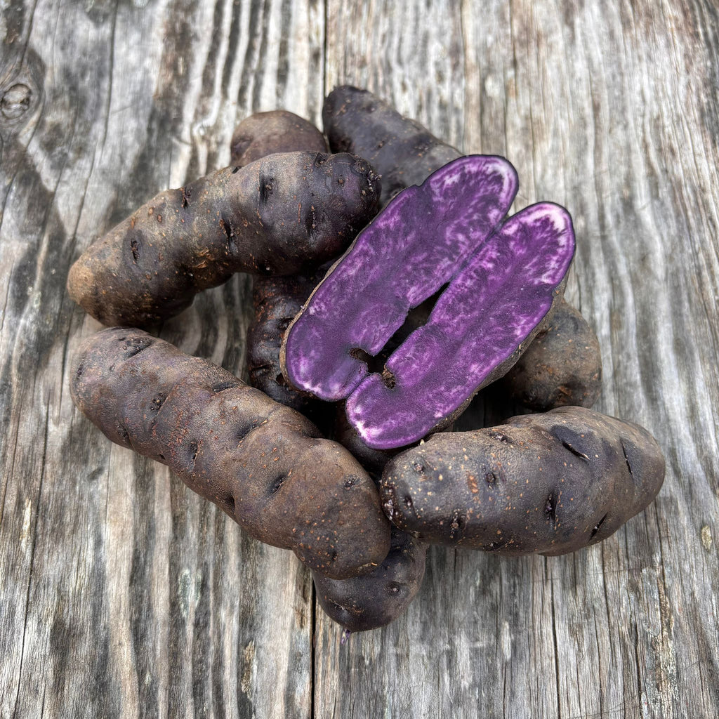 Purple Haida Potato