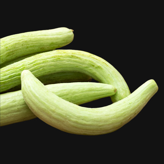 Armenian Cucumber