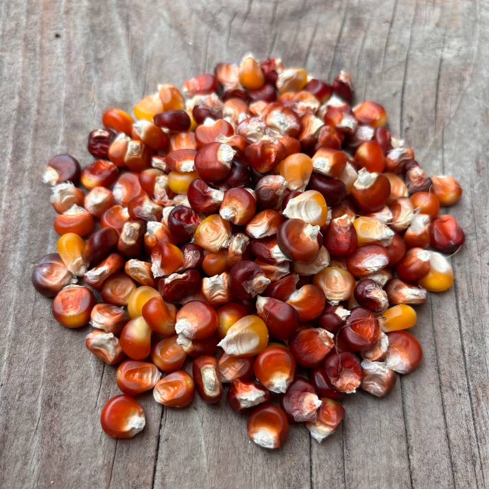 Basque Red Corn