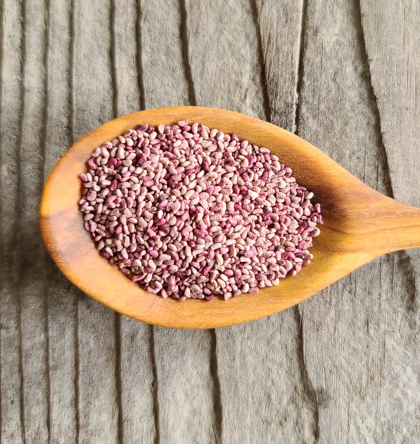 Black Cap Raspberry Seeds