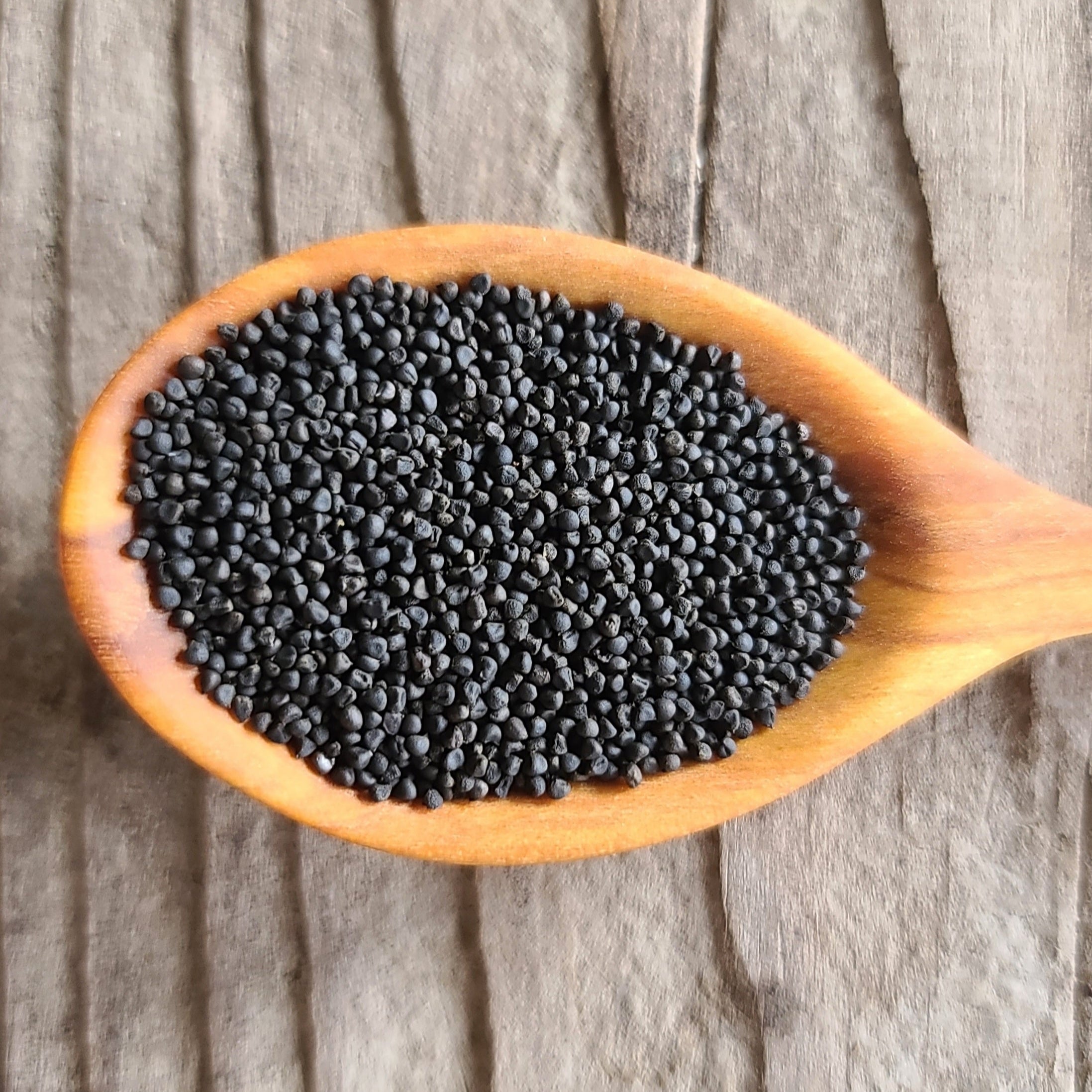 Blue-Eyed Grass Seeds