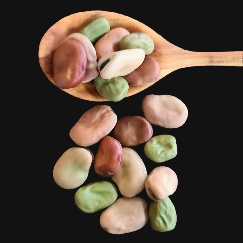Broadbeans