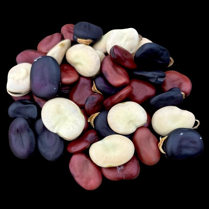Broad Bean Mix