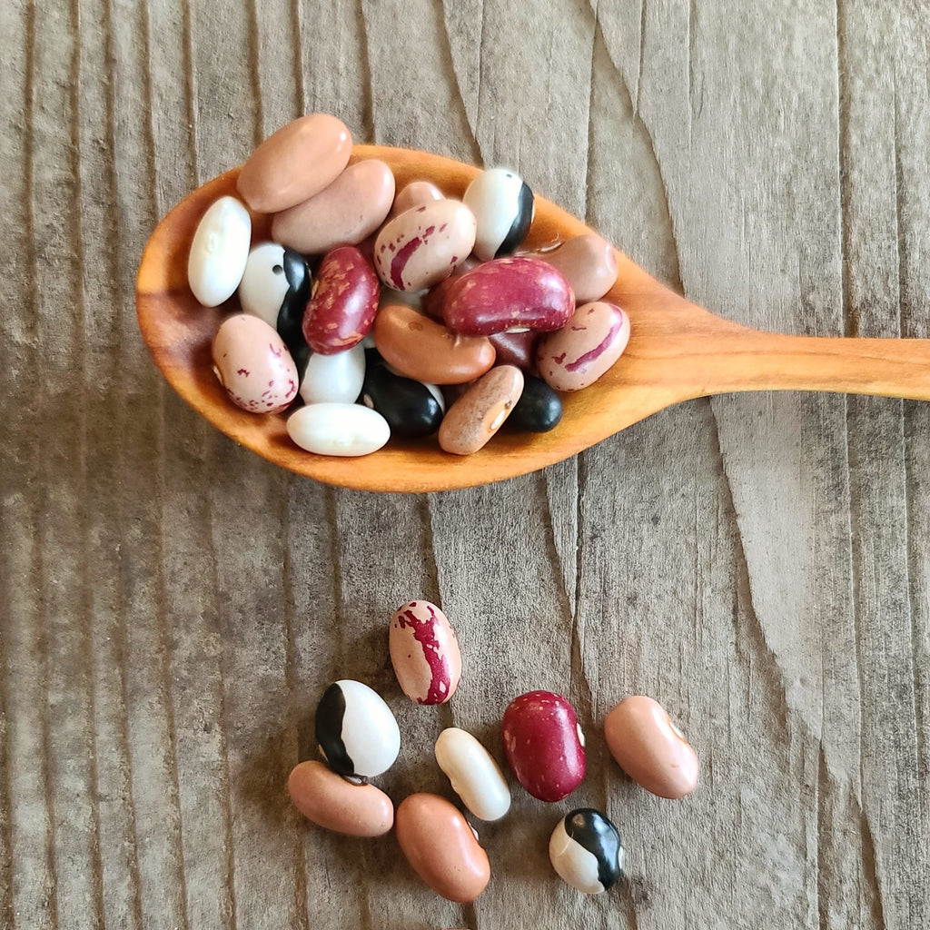 Bush bean mix seeds