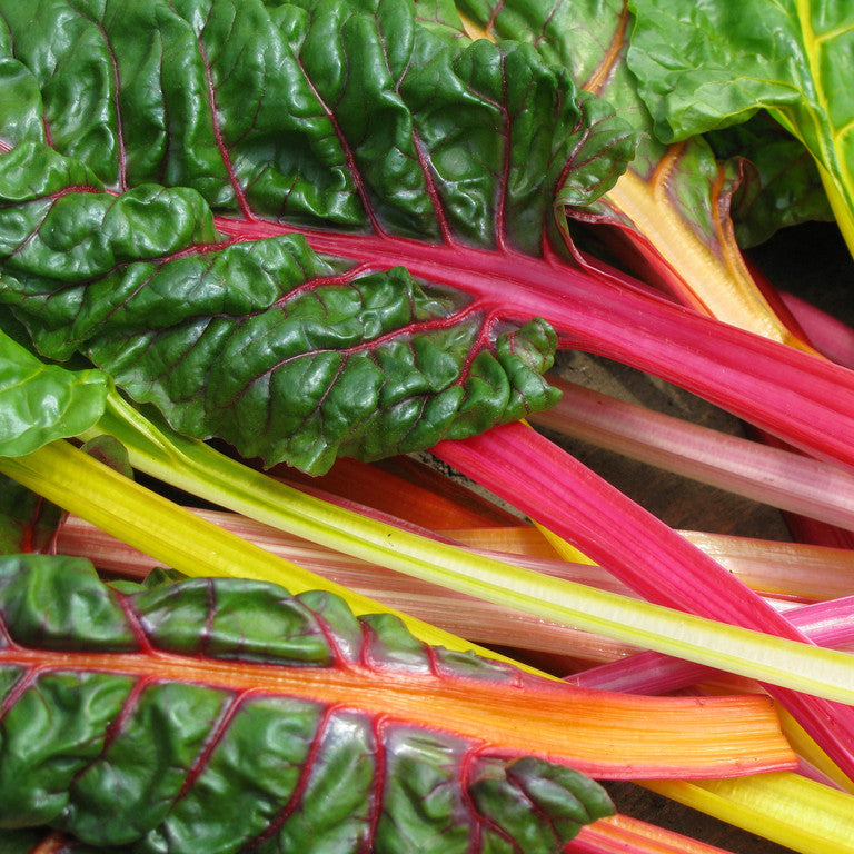 Chard Mix