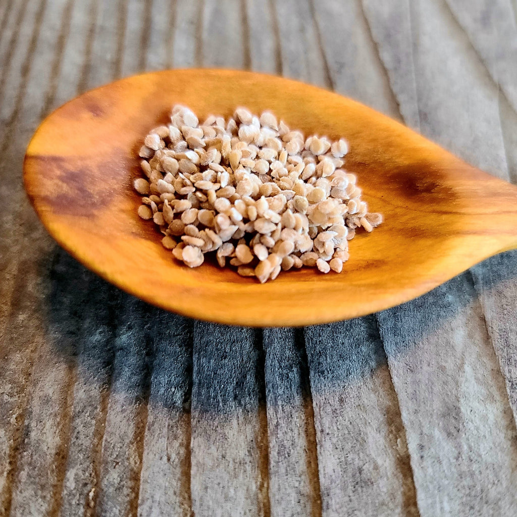 Tomato Seeds
