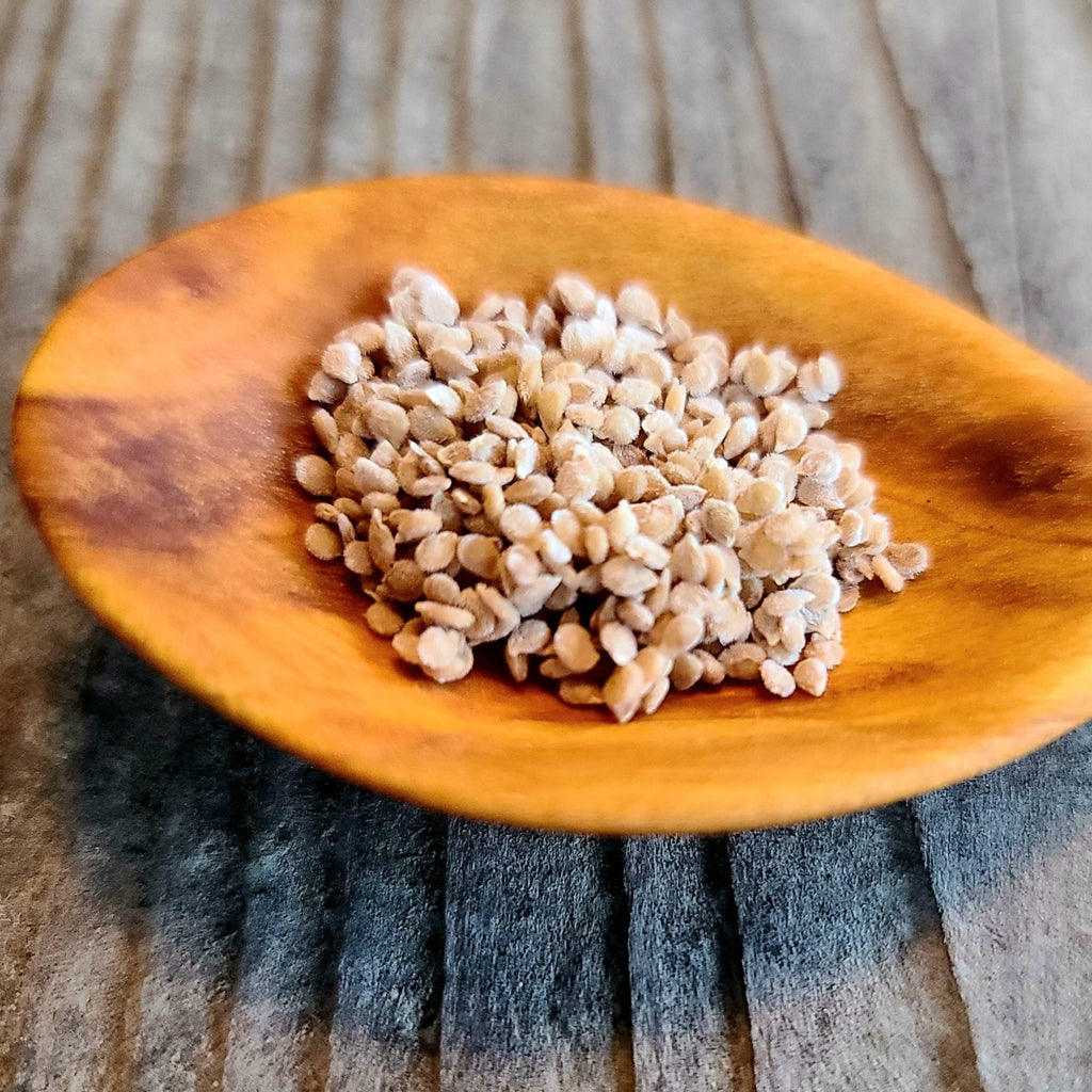 White Cherry Tomato Seeds