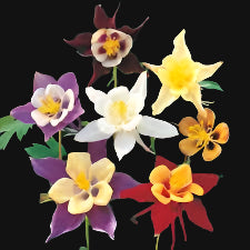 Columbine Mix