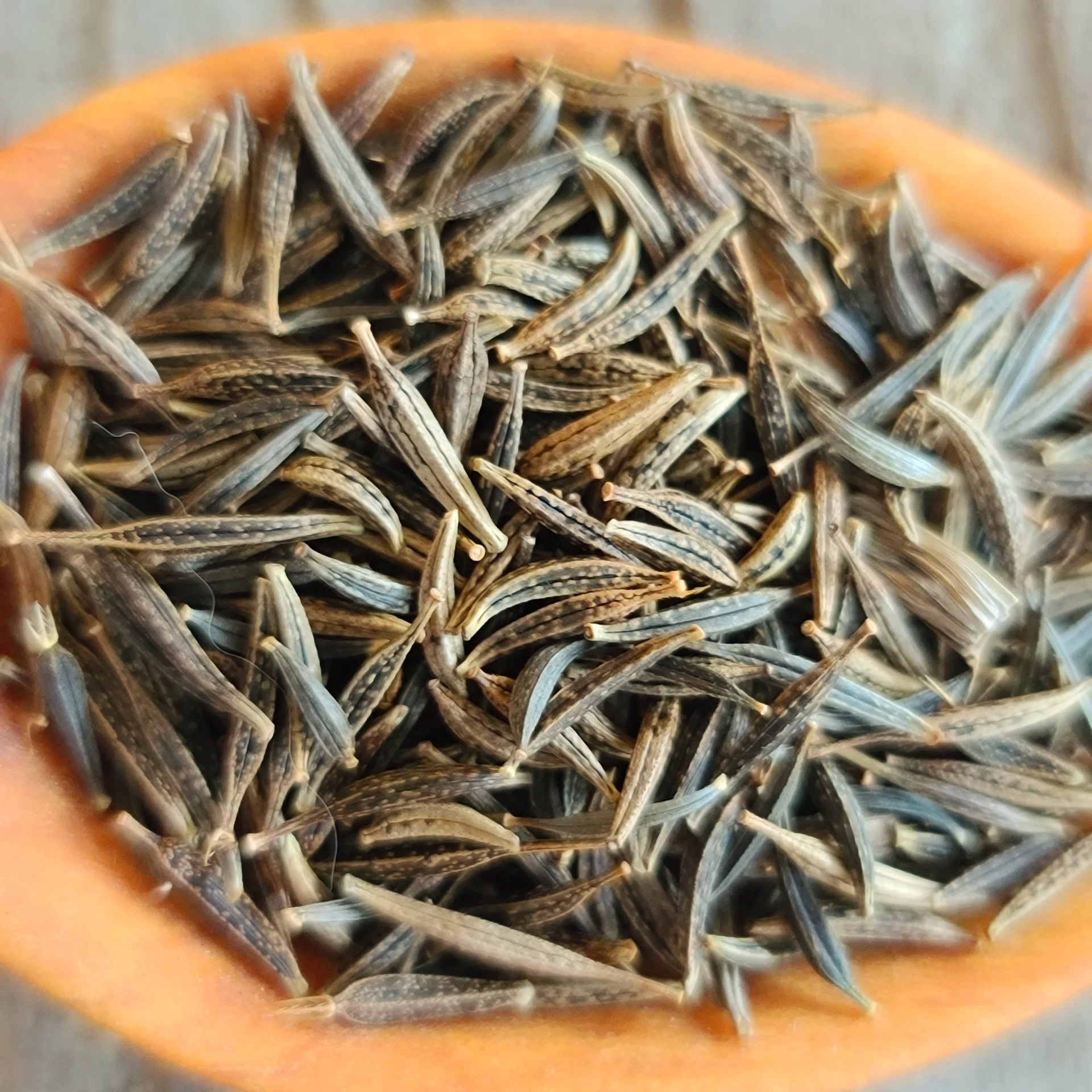 Orange Cosmos Seeds