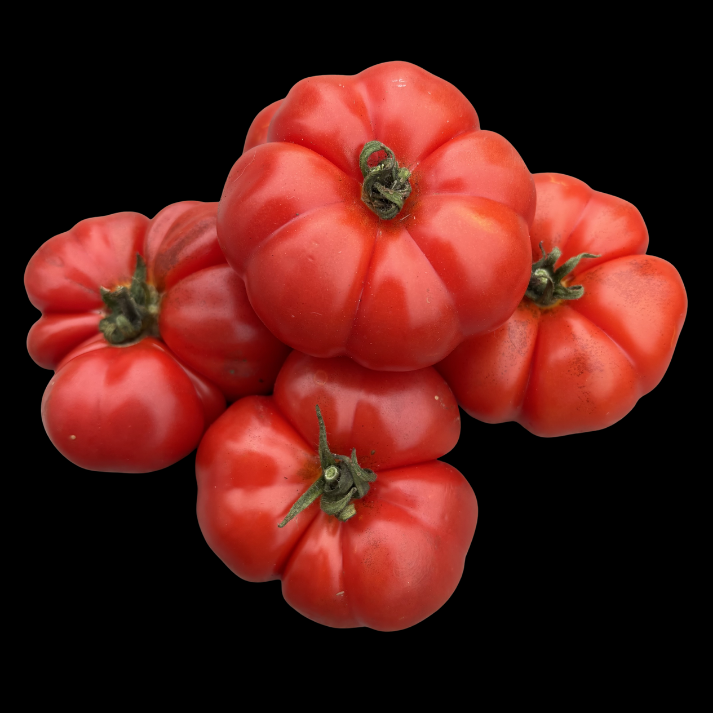 Costoluto Genovese Tomato