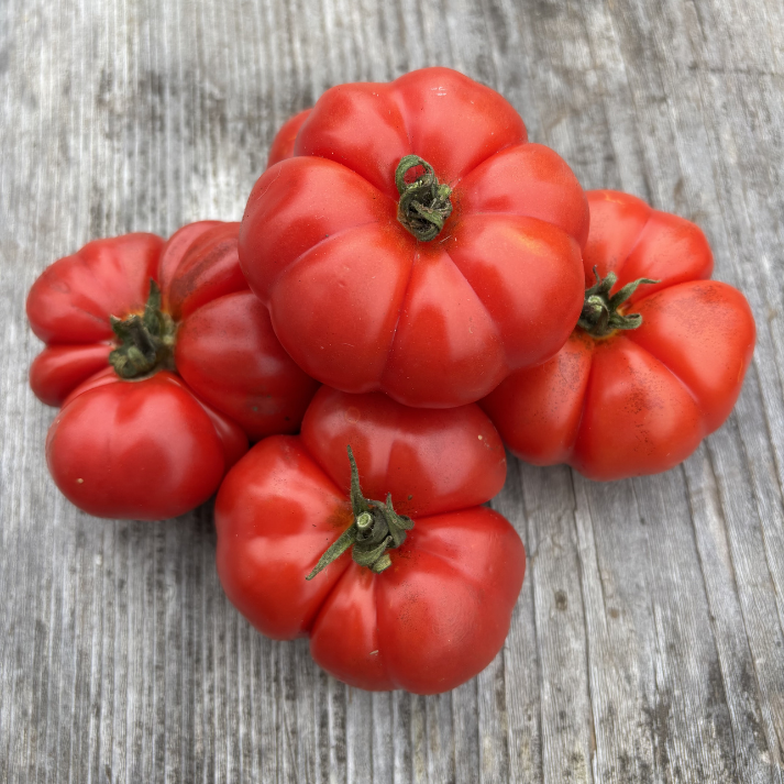 Costoluto Genovese Tomato
