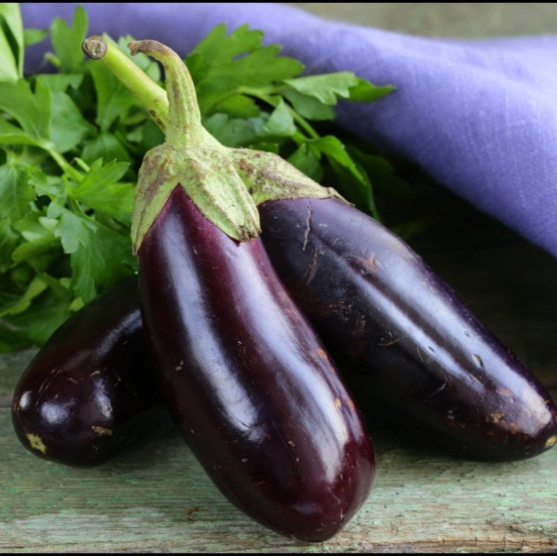 Diamond Eggplant