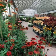 Dinter's Nursery