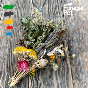 Edible Habitat Bouquet