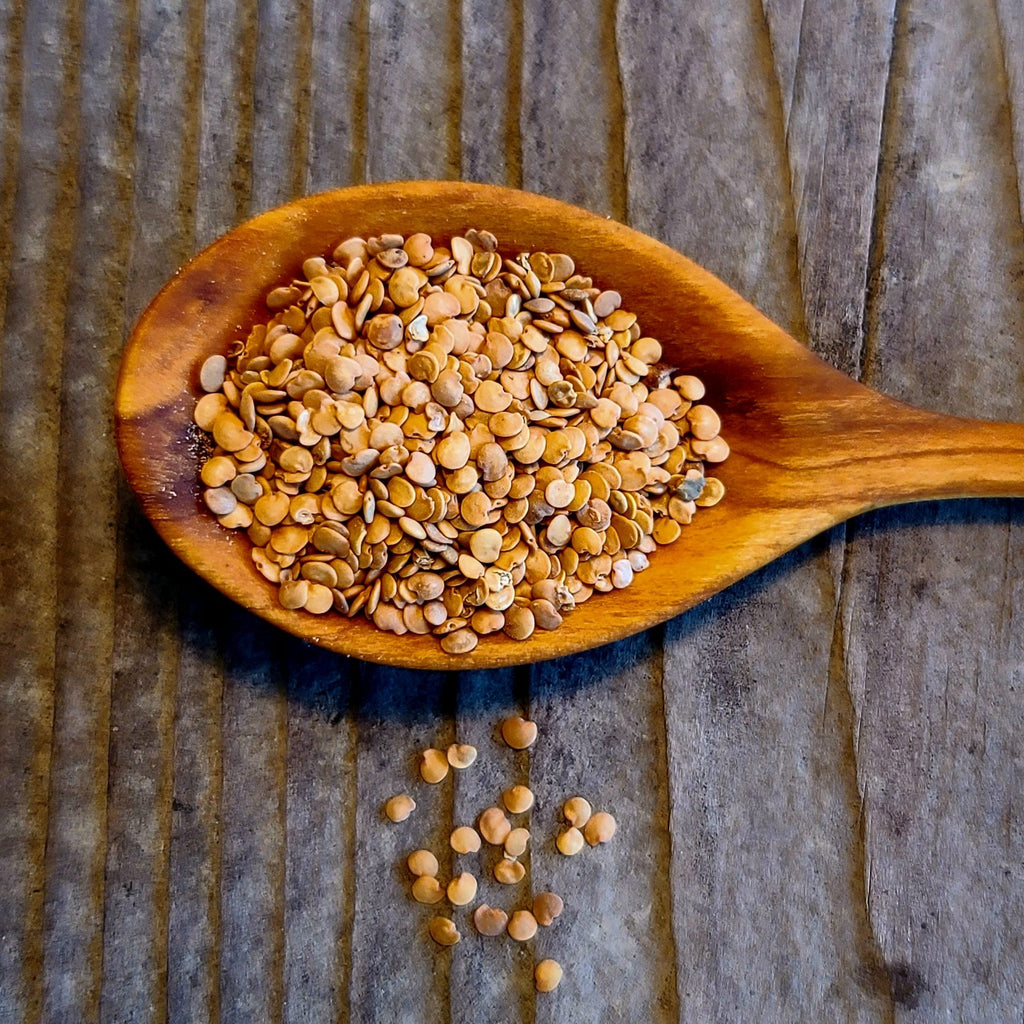 Eggplant Mix Seeds