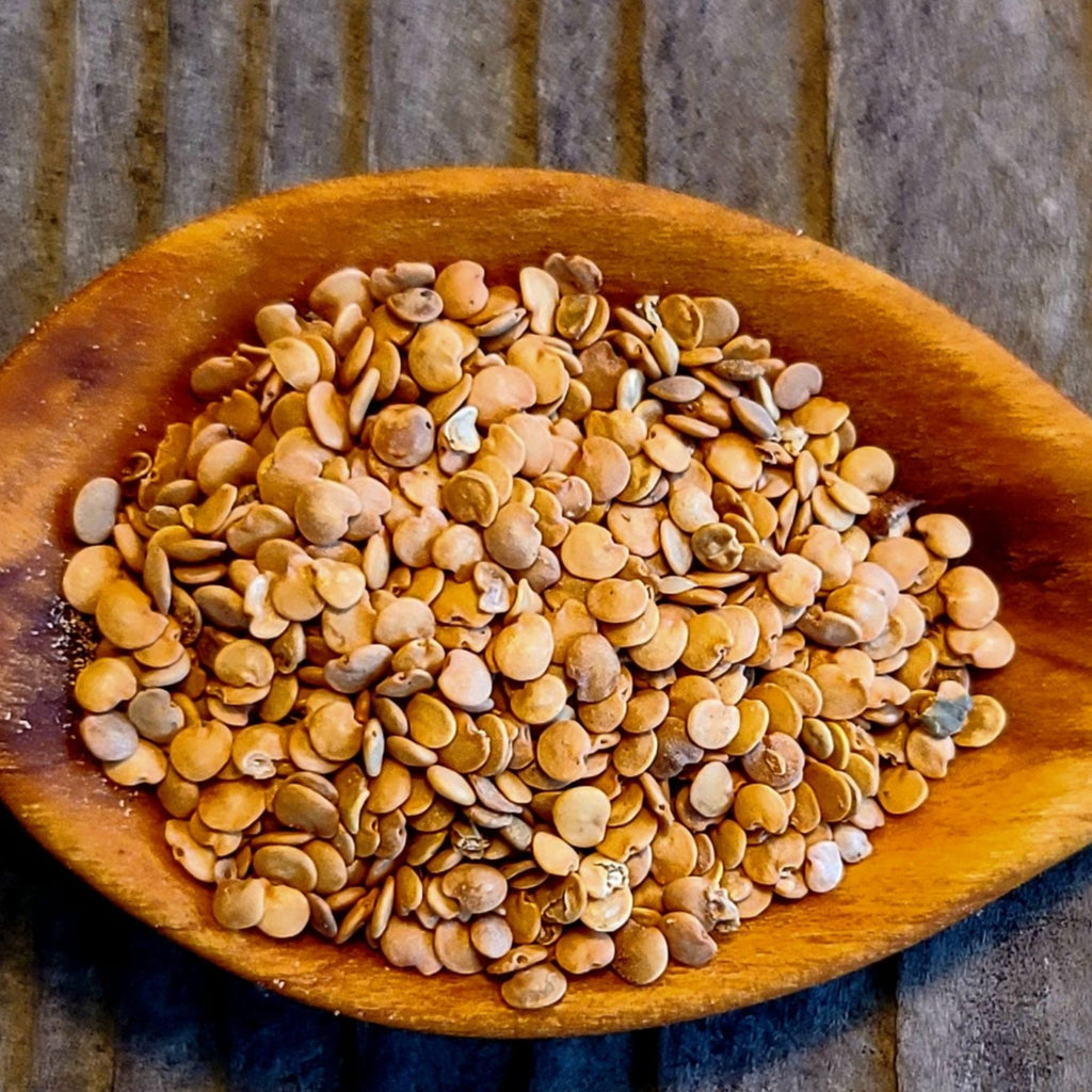 Ping Tung Eggplant Seeds