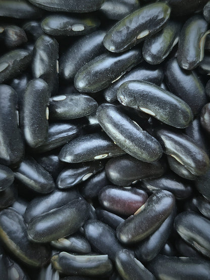 Emerite Pole Bean